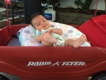 14067566.jpg